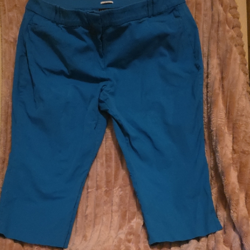 Lane Bryant Teal The Allie Pants